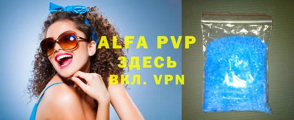 индика Белокуриха