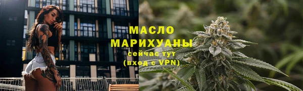 индика Белокуриха
