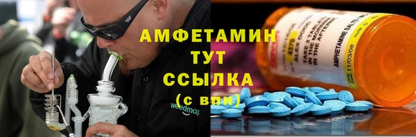 индика Белокуриха