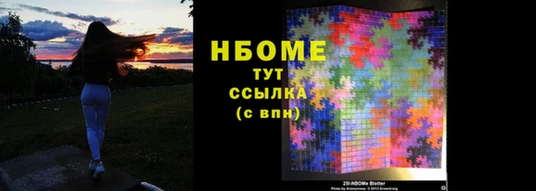 индика Белокуриха