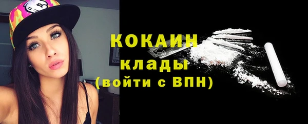 индика Белокуриха