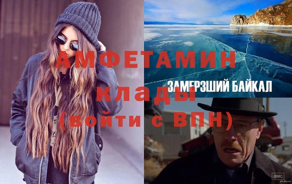 индика Белокуриха