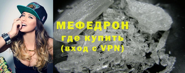 индика Белокуриха