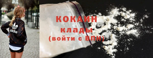 индика Белокуриха