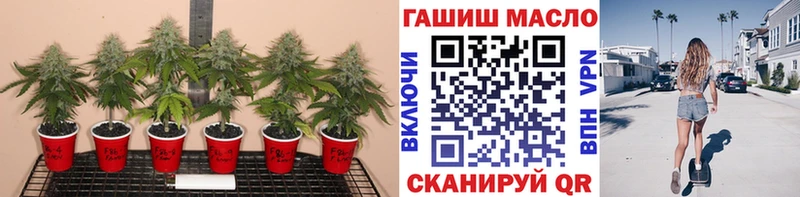 Дистиллят ТГК концентрат  Афипский 
